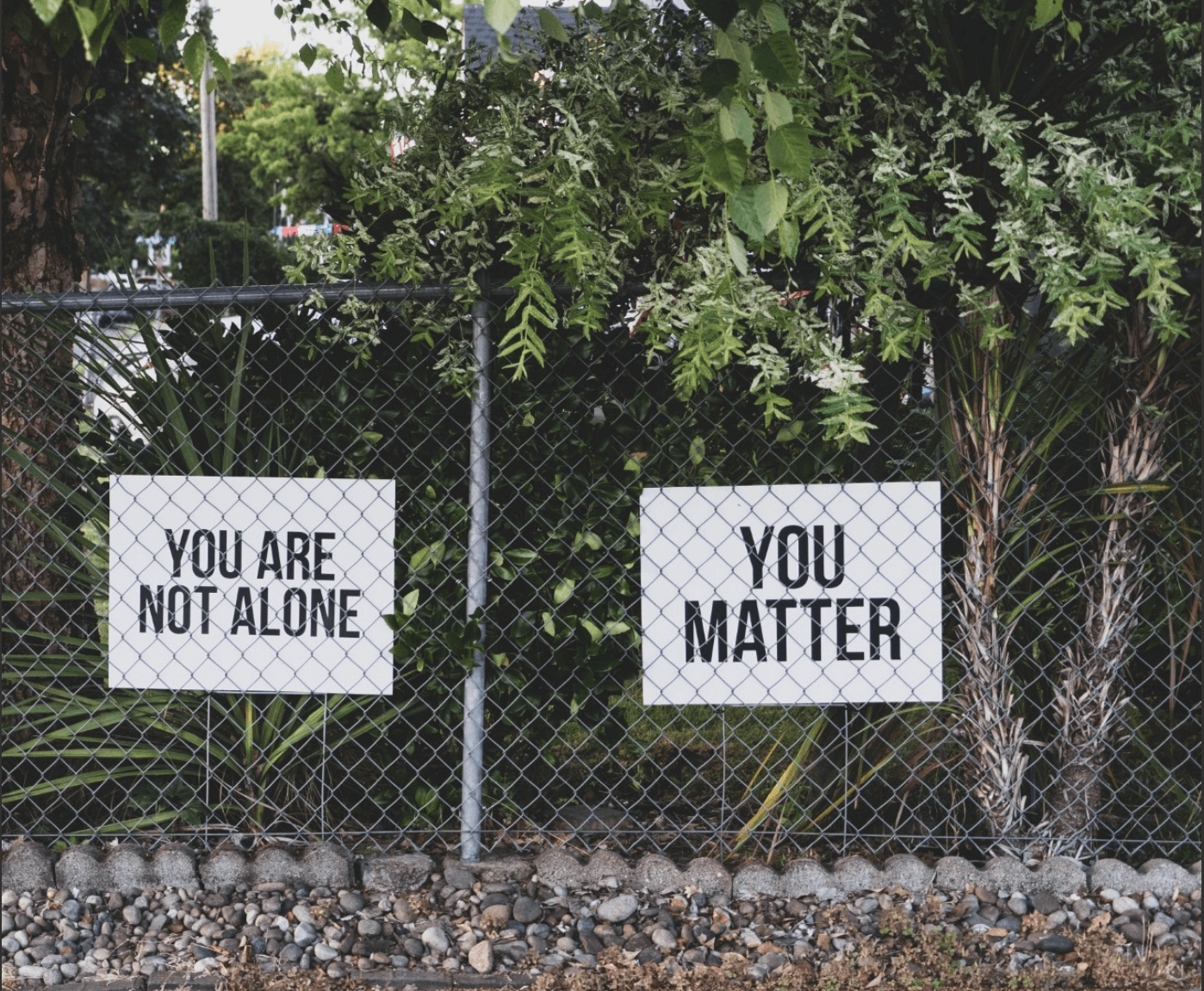 You are not alone Photo